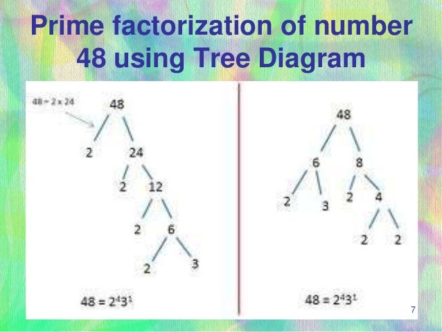 Significance of prime numbers in islam dfsyuc