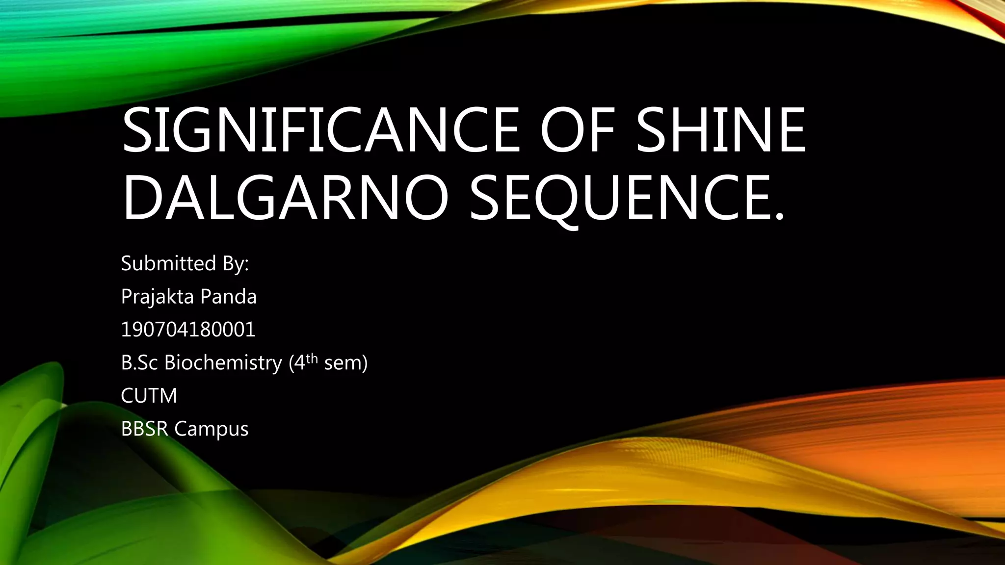 Significance of shine dalgarno sequence PPT