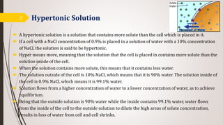 Hypertonic Solution
 A hypertonic solution is a solution that contains more solute than the cell which is placed in it.
 If a cell with a NaCl concentration of 0.9% is placed in a solution of water with a 10% concentration
of NaCl, the solution is said to be hypertonic.
 Hyper means more, meaning that the solution that the cell is placed in contains more solute than the
solution inside of the cell.
 When the solution contains more solute, this means that it contains less water.
 The solution outside of the cell is 10% NaCl, which means that it is 90% water. The solution inside of
the cell is 0.9% NaCl, which means it is 99.1% water.
 Solution flows from a higher concentration of water to a lower concentration of water, as to achieve
equilibrium.
 Being that the outside solution is 90% water while the inside contains 99.1% water, water flows
from the inside of the cell to the outside solution to dilute the high areas of solute concentration,
results in loss of water from cell and cell shrinks.
5
 