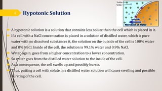 Hypotonic Solution
 A hypotonic solution is a solution that contains less solute than the cell which is placed in it.
 If a cell with a NaCl concentration is placed in a solution of distilled water, which is pure
water with no dissolved substances it, the solution on the outside of the cell is 100% water
and 0% NaCl. Inside of the cell, the solution is 99.1% water and 0.9% NaCl.
 Water, again, goes from a higher concentration to a lower concentration.
 So water goes from the distilled water solution to the inside of the cell.
 As a consequence, the cell swells up and possibly bursts.
 Thus, putting a cell with solute in a distilled water solution will cause swelling and possible
bursting of the cell.
6
 