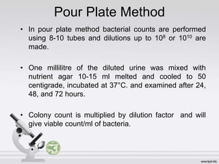 Pour Plate Method
• In pour plate method bacterial counts are performed
using 8-10 tubes and dilutions up to 108 or 1010 are
made.
• One millilitre of the diluted urine was mixed with
nutrient agar 10-15 ml melted and cooled to 50
centigrade, incubated at 37°C. and examined after 24,
48, and 72 hours.
• Colony count is multiplied by dilution factor and will
give viable count/ml of bacteria.
 