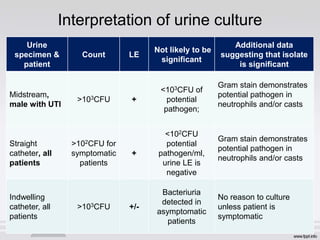 Interpretation of urine culture
Urine
specimen &
patient
Count LE
Not likely to be
significant
Additional data
suggesting that isolate
is significant
Midstream,
male with UTI
>103CFU +
<103CFU of
potential
pathogen;
Gram stain demonstrates
potential pathogen in
neutrophils and/or casts
Straight
catheter, all
patients
>102CFU for
symptomatic
patients
+
<102CFU
potential
pathogen/ml,
urine LE is
negative
Gram stain demonstrates
potential pathogen in
neutrophils and/or casts
Indwelling
catheter, all
patients
>103CFU +/-
Bacteriuria
detected in
asymptomatic
patients
No reason to culture
unless patient is
symptomatic
 
