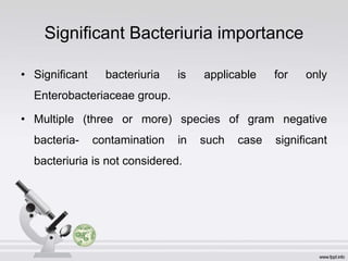 Significant Bacteriuria importance
• Significant bacteriuria is applicable for only
Enterobacteriaceae group.
• Multiple (three or more) species of gram negative
bacteria- contamination in such case significant
bacteriuria is not considered.
 