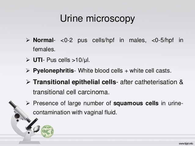 Significant bacteriuria