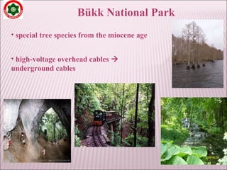 Bükk National Park
• special tree species from the miocene age
• high-voltage overhead cables 
underground cables
 