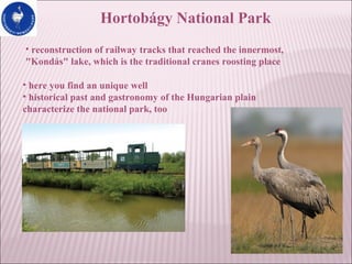 • reconstruction of railway tracks that reached the innermost,
"Kondás" lake, which is the traditional cranes roosting place
Hortobágy National Park
• here you find an unique well
• historical past and gastronomy of the Hungarian plain
characterize the national park, too
 
