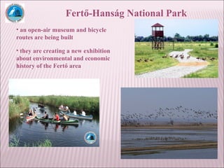 Fertő-Hanság National Park
• an open-air museum and bicycle
routes are being built
• they are creating a new exhibition
about environmental and economic
history of the Fertő area
 