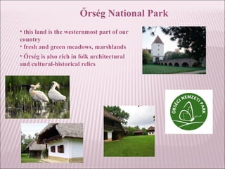 Őrség National Park
• this land is the westernmost part of our
country
• fresh and green meadows, marshlands
• Őrség is also rich in folk architectural
and cultural-historical relics
 