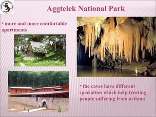 Aggtelek National Park
• more and more comfortable
apartments
• the caves have different
specialties which help treating
people suffering from asthma
 