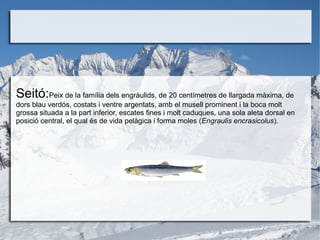 Seitó:Peix de la família dels engràulids, de 20 centímetres de llargada màxima, de
dors blau verdós, costats i ventre argentats, amb el musell prominent i la boca molt
grossa situada a la part inferior, escates fines i molt caduques, una sola aleta dorsal en
posició central, el qual és de vida pelàgica i forma moles (Engraulis encrasicolus).
 