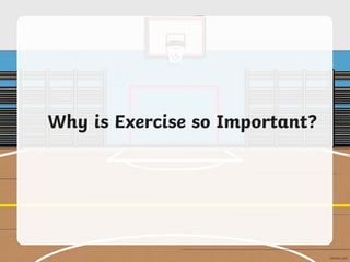 Why is Exercise so Important?
 