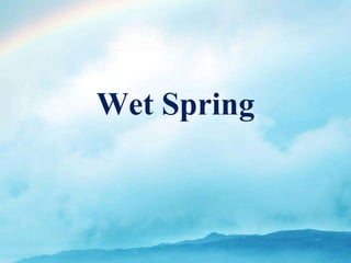 Wet Spring 
 