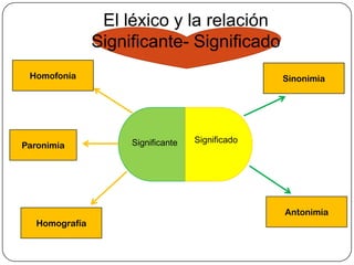 El léxico y la relación
                Significante- Significado
 Homofonía                                        Sinonimia




                     Significante   Significado
Paronimia




                                                  Antonimia
   Homografía
 