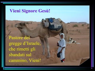 07/12/15 12
Pastore del
gregge d’Israele,
che rimetti gli
sbandati sul
cammino, Vieni!
Vieni Signore Gesù!
 