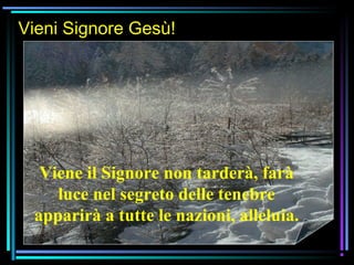 07/12/15 7
Vieni Signore Gesù!
Viene il Signore non tarderà, farà
luce nel segreto delle tenebre
apparirà a tutte le nazioni, alleluia.
 