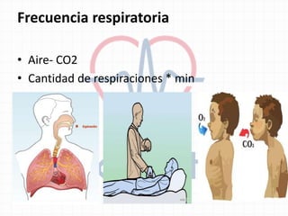 Frecuencia respiratoria
• Aire- CO2
• Cantidad de respiraciones * min
 