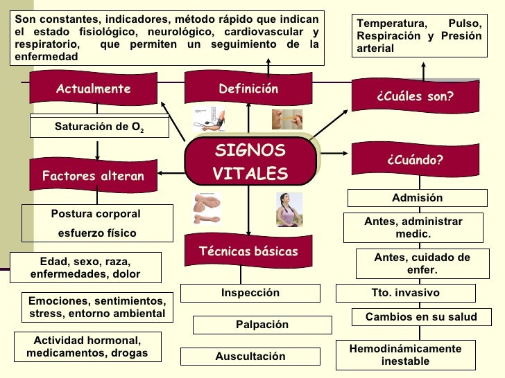 Mapa Mental De Signos Vitales - slingo