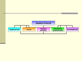 SIGNOS VITALES TEMPERATURA PULSO PRESION ARTERIAL FRECUENCIA RESPIRATORIA SATUROMETRIA 