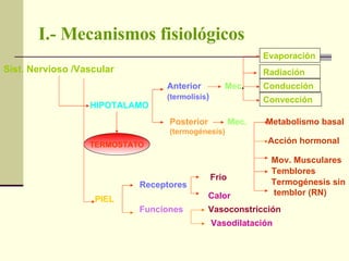 I.- Mecanismos fisiológicos Sist. Nervioso /Vascular HIPOTALAMO Anterior (termolisis ) Posterior (termogénesis) Mec . TERMOSTATO Radiación Conducción Convección   Mec. Metabolismo basal Mov. Musculares Temblores Termogénesis sin temblor (RN) Evaporación PIEL Receptores   Frio Calor Funciones Vasodilatación Vasoconstricción Acción hormonal 