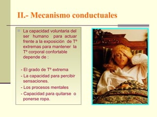 II.- Mecanismo conductuales La capacidad voluntaria del ser  humano  para  actuar frente a la exposición  de Tº extremas para mantener  la Tº corporal confortable depende de : - El grado de Tº extrema - La capacidad para percibir sensaciones. - Los procesos mentales - Capacidad para quitarse  o ponerse ropa .  