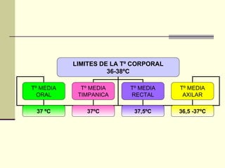 LIMITES DE LA Tº CORPORAL 36-38ºC Tº MEDIA ORAL Tº MEDIA TIMPANICA Tº MEDIA RECTAL Tº MEDIA AXILAR 37 ºC 37ºC 37,5ºC 36,5 -37ºC 