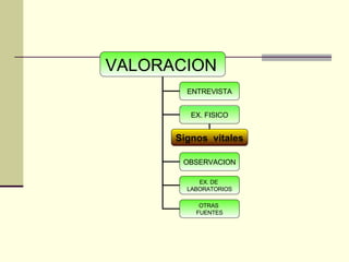 VALORACION   ENTREVISTA EX. FISICO OBSERVACION EX. DE  LABORATORIOS OTRAS  FUENTES Signos  vitales 