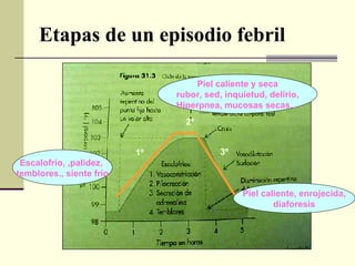 Etapas de un episodio   febril 1º 2º 3º Piel caliente y seca rubor, sed, inquietud, delirio, Hiperpnea, mucosas secas… Escalofrío, ,palidez,  temblores., siente frío Piel caliente, enrojecida, diaforesis 