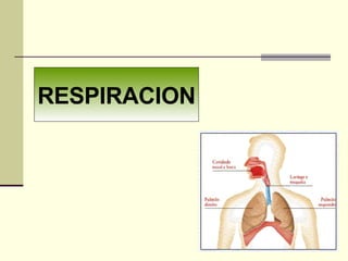 RESPIRACION 