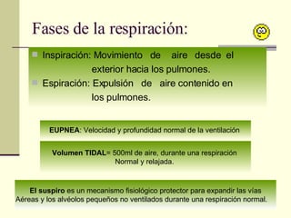 Fases de la respiración: Inspiración: Movimiento  de  aire  desde  el  exterior hacia los pulmones. Espiración: Expulsión  de  aire contenido en  los pulmones.  Volumen TIDAL = 500ml de aire, durante una respiración  Normal y relajada.  El suspiro  es un mecanismo fisiológico protector para expandir las vías Aéreas y los alvéolos pequeños no ventilados durante una respiración normal.  EUPNEA : Velocidad y profundidad normal de la ventilación  