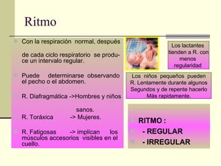 Ritmo Con la respiración  normal, después  de cada ciclo respiratorio  se produ-ce un intervalo regular. Puede  determinarse  observando el pecho o el abdomen. R. Diafragmática ->Hombres y niños  sanos. R. Toráxica  -> Mujeres. R. Fatigosas  -> implican  los músculos accesorios  visibles en el cuello.  RITMO : - REGULAR - IRREGULAR Los lactantes  tienden a R. con menos  regularidad  Los  niños  pequeños  pueden R. Lentamente durante algunos Segundos y de repente hacerlo Más rapidamente. 