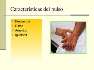Características del pulso Frecuencia Ritmo Amplitud Igualdad 