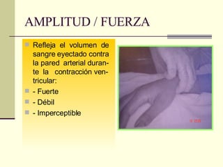 AMPLITUD / FUERZA Refleja  el  volumen  de sangre eyectado contra la pared  arterial duran-te  la  contracción ven-tricular: - Fuerte - Débil - Imperceptible 