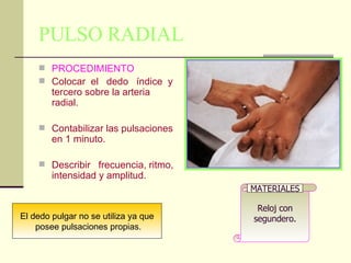 PULSO RADIAL PROCEDIMIENTO Colocar  el  dedo  índice  y tercero sobre la arteria radial.  Contabilizar las pulsaciones en 1 minuto.  Describir  frecuencia, ritmo, intensidad y amplitud.  Reloj con segundero.  MATERIALES El dedo pulgar no se utiliza ya que posee pulsaciones propias. 