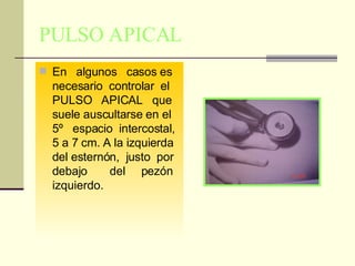 PULSO APICAL En  algunos  casos es necesario  controlar  el PULSO  APICAL  que suele auscultarse en el 5º  espacio  intercostal, 5 a 7 cm. A la izquierda del esternón,  justo  por debajo  del  pezón izquierdo. 