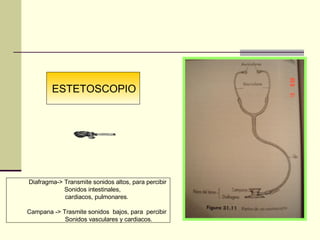 ESTETOSCOPIO Diafragma-> Transmite sonidos altos, para percibir  Sonidos intestinales,  cardiacos, pulmonares. Campana -> Trasmite sonidos  bajos, para  percibir  Sonidos vasculares y cardiacos. 