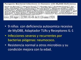 • 9 niños con deficiencia autosomica recesiva
de MyD88, Adaptador TLRs y Receptores IL-1
• Infecciones severas y recurrentes por
bacterias piógenas: neumococo.
• Resistencia normal a otros microbios y su
condición mejora con la edad.
 
