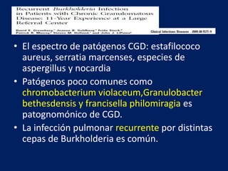 • El espectro de patógenos CGD: estafilococo
aureus, serratia marcenses, especies de
aspergillus y nocardia
• Patógenos poco comunes como
chromobacterium violaceum,Granulobacter
bethesdensis y francisella philomiragia es
patognomónico de CGD.
• La infección pulmonar recurrente por distintas
cepas de Burkholderia es común.
 