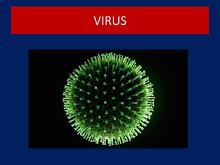VIRUS
 