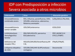 IDP con Predisposición a infección
Severa asociada a otros microbios
Enfermedad Virus Alteración genética
Inmunodeficiencia
combinada severa
RVS, influenza, parainfluenza, CMV,
VZV,EBV, enterovirus, adenovirus,
Rotavirus,sarampión
IL2Rγ/JAK3,IL7Rα.RAG.
Inmunodeficiencia
común variable
VZV,CMV,enterovirus ICOS,CD19
Linfohistiocitosis
Hemofagocitico
familiar
EBV,CMV,HSV,VZV, parvovirus
B19,adenovirus
PRF1,MUNC13-4
STX11,STXBP2.
Deficiencia del
receptor IFN γ
HSV,VZV,CMV,RSV,Parainfluenza,HH
V-8,
IFNγR1/IFNγR2.
Linfopenia idiopática
de CD4+
VZV,EBV,CMV,HHV-8,HPV,molusco
contagioso
Desconocida
 