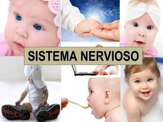 SISTEMA NERVIOSO
 