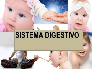 SISTEMA DIGESTIVO
 