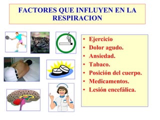 Ejercicio Dolor agudo. Ansiedad. Tabaco. Posición del cuerpo. Medicamentos. Lesión encefálica. FACTORES QUE INFLUYEN EN LA RESPIRACION 
