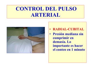 RADIAL-CUBITAL Presión mediana sin comprimir en demasía. Lo importante es hacer el conteo en 1 minuto CONTROL DEL PULSO ARTERIAL 
