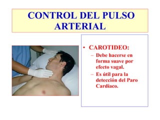 CAROTIDEO: Debe hacerse en forma suave por efecto vagal. Es útil para la detección del Paro Cardíaco. CONTROL DEL PULSO ARTERIAL 