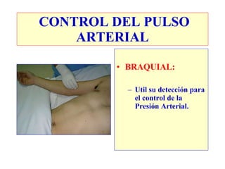 BRAQUIAL: Util su detección para el control de la Presión Arterial. CONTROL DEL PULSO ARTERIAL 