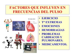 FACTORES QUE INFLUYEN EN FRECUENCIAS DEL PULSO EJERCICIO T° EXTREMAS EMOCIONES HEMORRAGIAS PROBLEMAS CARDIACOS Y PULMONARES. MEDICAMENTOS. 