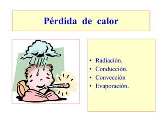Pérdida de calor


         •   Radiación.
         •   Conducción.
         •   Convección
         •   Evaporación.
 