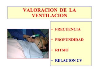VALORACION DE LA
  VENTILACION

        • FRECUENCIA

        • PROFUNDIDAD

        • RITMO

        • RELACION CV
 
