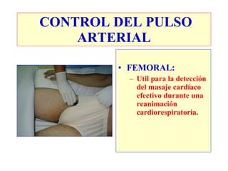 CONTROL DEL PULSO
    ARTERIAL

        • FEMORAL:
          – Util para la detección
            del masaje cardíaco
            efectivo durante una
            reanimación
            cardiorespiratoria.
 