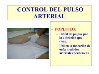 CONTROL DEL PULSO
    ARTERIAL

        • POPLITEO:
          – Difícil de palpar por
            la ubicación que
            tiene.
          – Util en la detección de
            enfermedades
            arteriales periféricas.
 